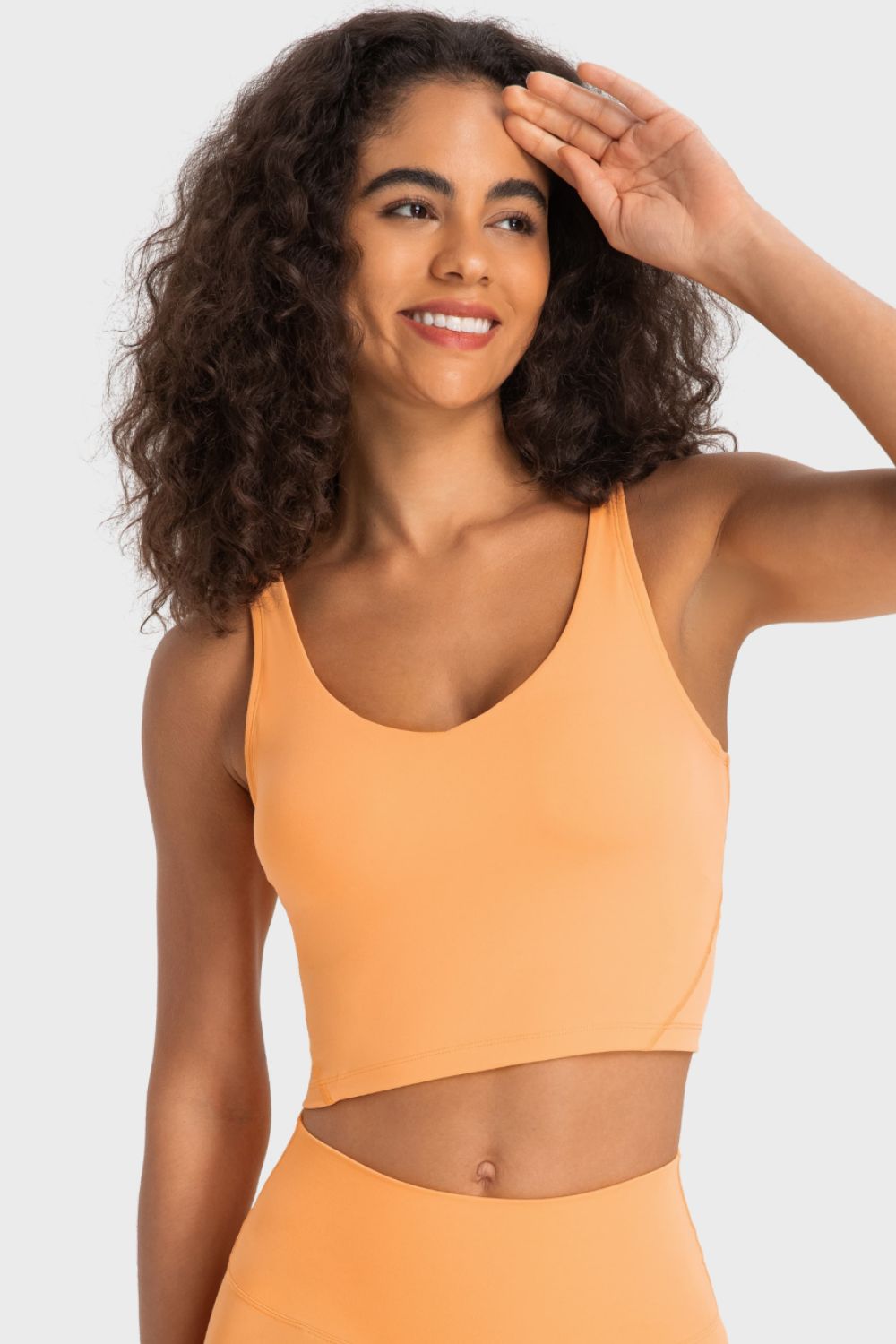 Millennia Deep V-Neck Crop Sports Bra - cas7m