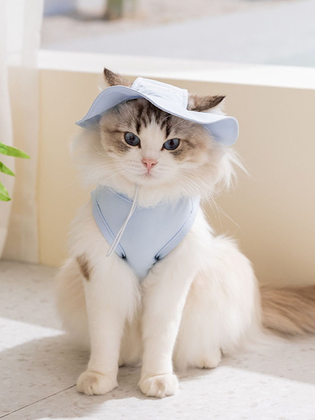Cartoon Pet Tank - cas7m