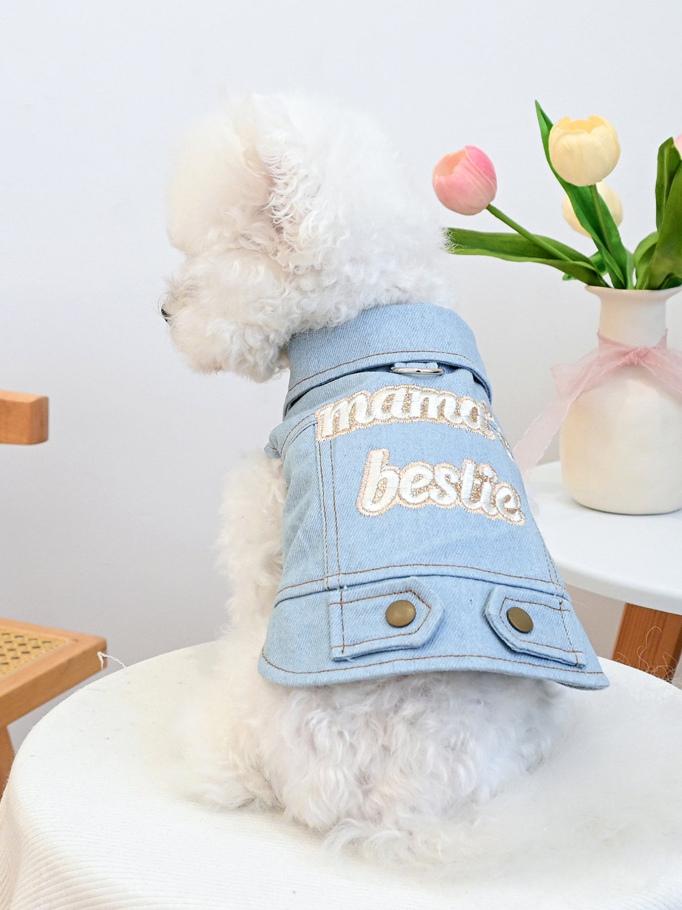 Embroidered Denim Pet Jacket - cas7m